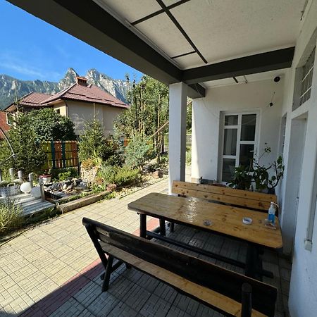 Отель Casa David Буштени Экстерьер фото