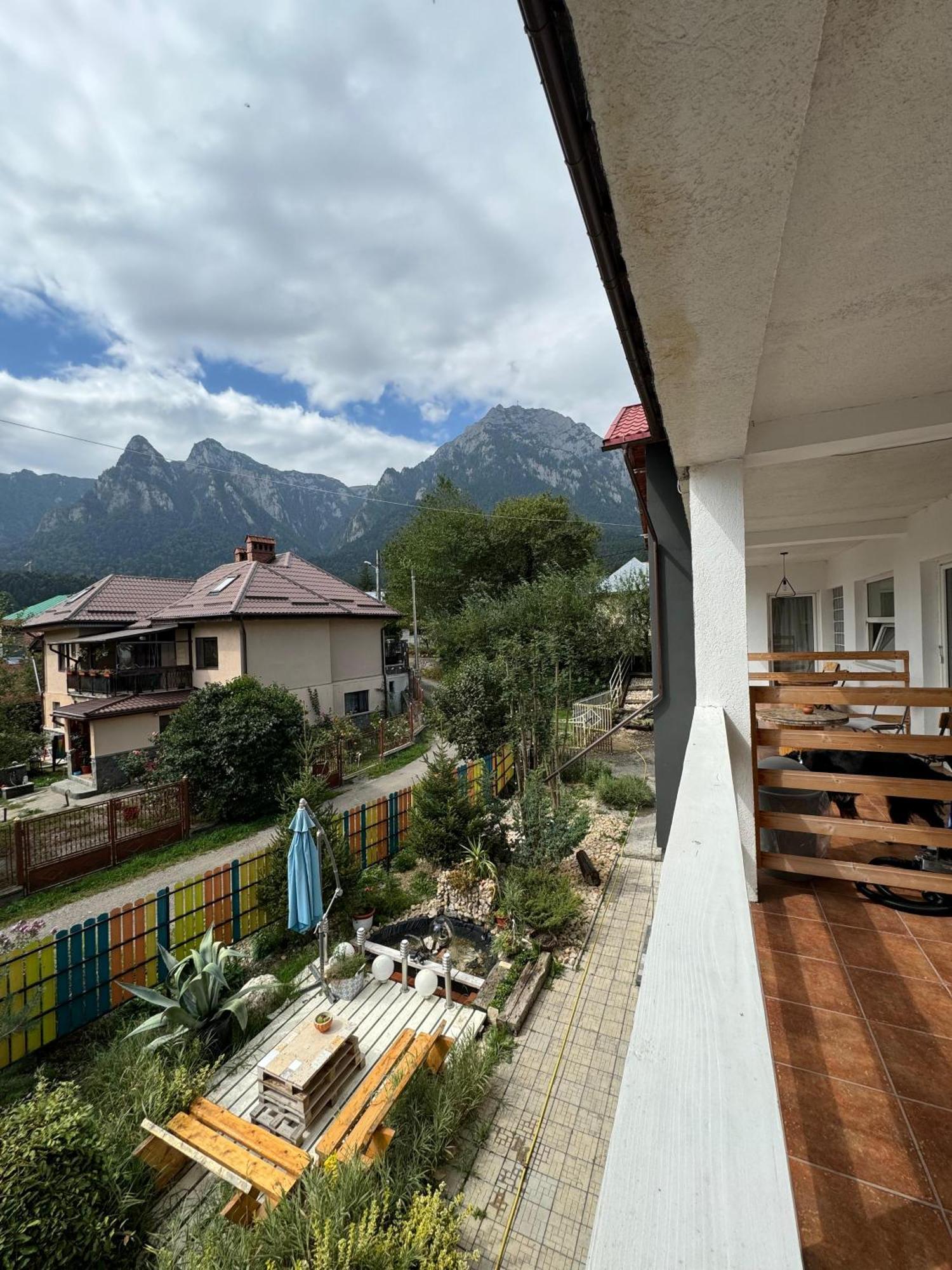 Отель Casa David Буштени Экстерьер фото