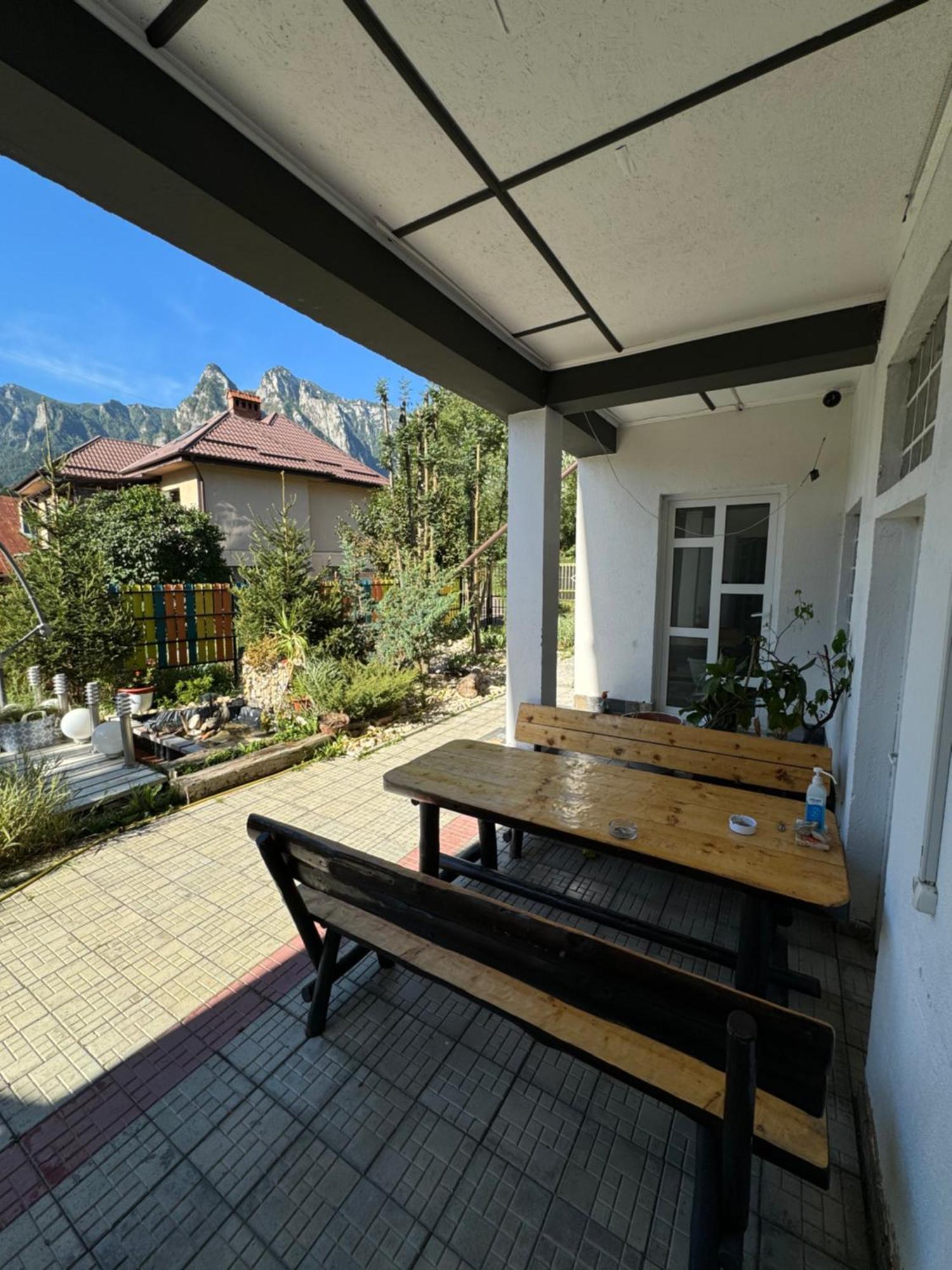 Отель Casa David Буштени Экстерьер фото